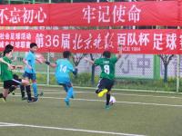 新加坡VS中国直播_新加坡VS中国直播免费观看_WTT新加坡3月14日+央视直播，王曼昱VS木原，王楚钦／孙颖莎出战